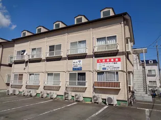 ハイツミレー下植木【2階】の外観