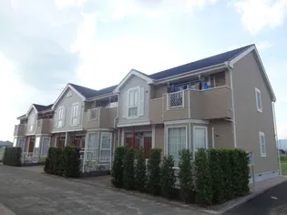 セトルエレガンBの画像