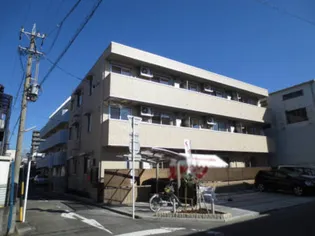 マグノリアの画像