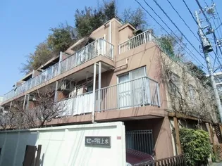 ハットミリュウの画像