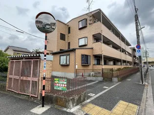 ソレイユ綾瀬の画像