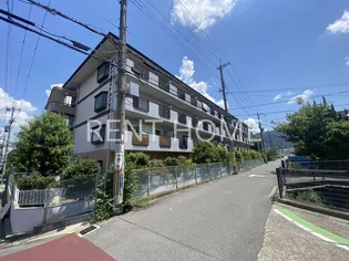 ガーデンフラットカメリアの画像