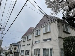 ハイムリバーA棟B棟の画像