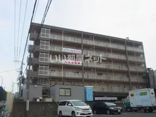 ムーンローズの画像