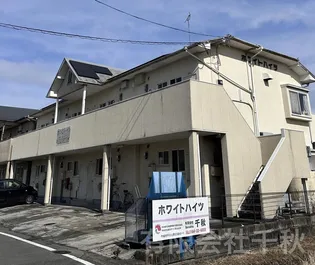 ホワイトハイツの画像
