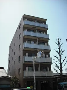 ベラフローラの画像