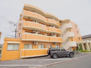 シャイン中筋の画像