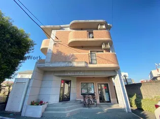 セリーヌ坪井の画像