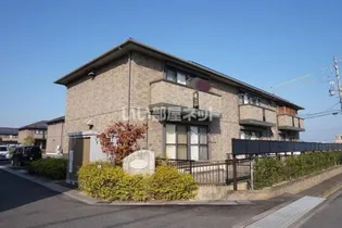 FIND BIRDIE Bの画像