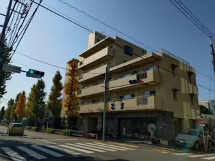 東京都世田谷区等々力8【マンション】の外観