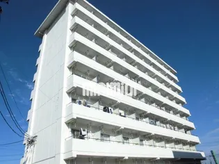 メゾンオット【4階】の外観