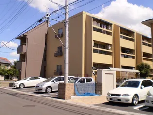 リベリテ中央の画像