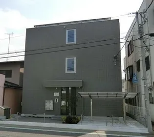 アムールの画像