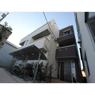 ステラマリスの画像