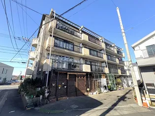 ジョイフルシノの画像