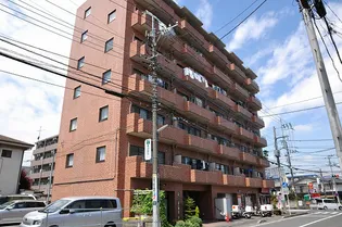 プラムツリーの画像