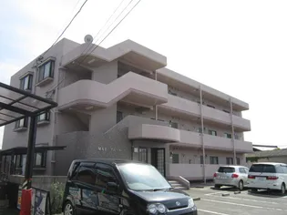 M&Iアムールの画像