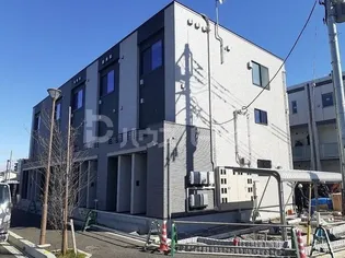 チェリーブロッサムの画像