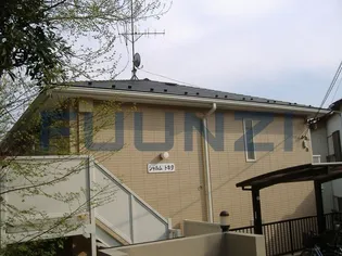 シャルムトキタの画像