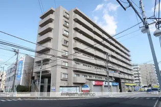 カデンツァの画像