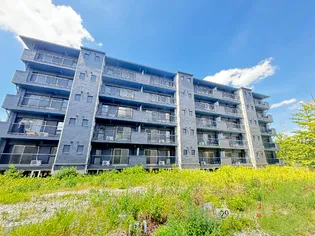 ドミールサニー緑町2号棟の画像