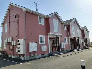 ひまわりの画像
