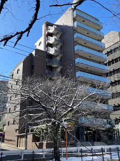 ミオカステーロ多摩センターの画像