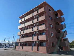 ドミールの画像