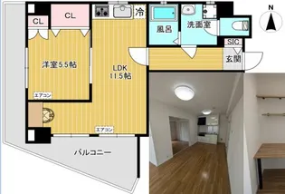 サンパレス西荻II【3階】の間取り