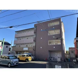 セルリアン クォーレの画像