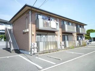 エバーライフの画像