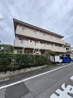 ピンクパンサーの画像