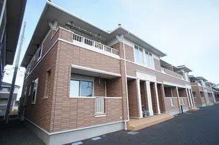 サニープラシードⅡの画像