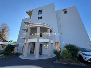 グラビスの画像