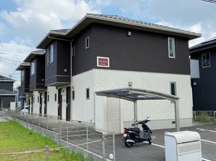 サンライズウロコの画像