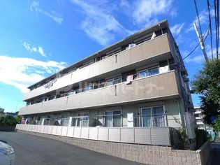 シトロンフレアの画像