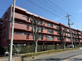 ZELKOVA AVENUEの画像