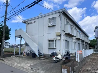 センチュリーピラの画像