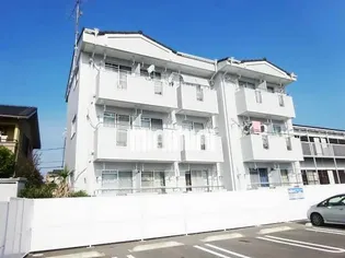 ベスト15の画像