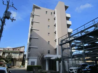 トミール コートの画像