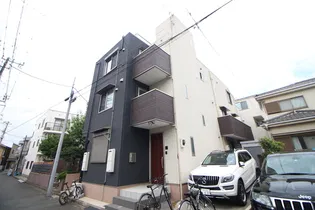 ステラアルピナの画像