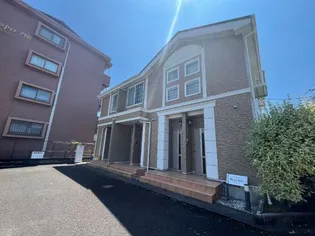 プラシードの画像