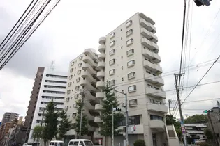 メゾンブロンシュ本駒込の画像