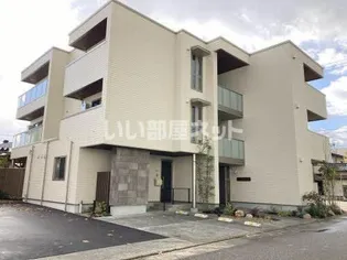 ローズ レフィシアの画像