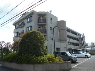 アベニールの画像