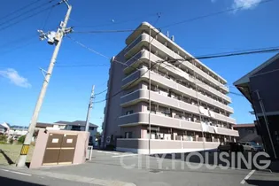 ベルティアネシスの画像