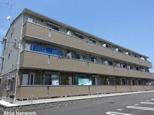 アピタコートの画像