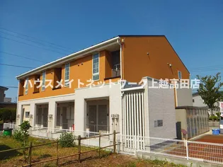 レア ハピネスの画像