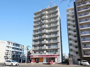 ルシール88の画像