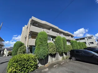 第2メゾン篠崎の画像